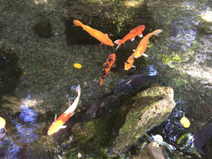 Always Learning: I Still Don't Really Know What I'm Doing