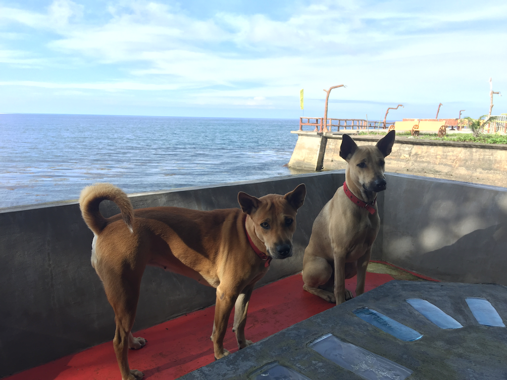 Back to Work (January 29, 2019)