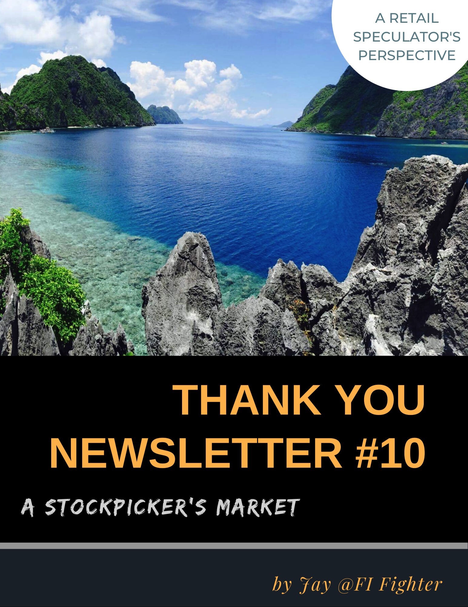 Thank You Newsletter #10 – A Stockpicker’s Market (Released)